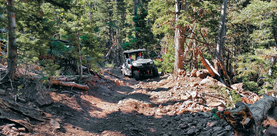 Off-Roading on the Paiute Trail
