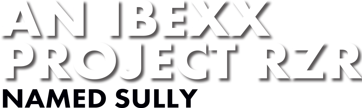 An IBEXX Project RZR Named Sully title
